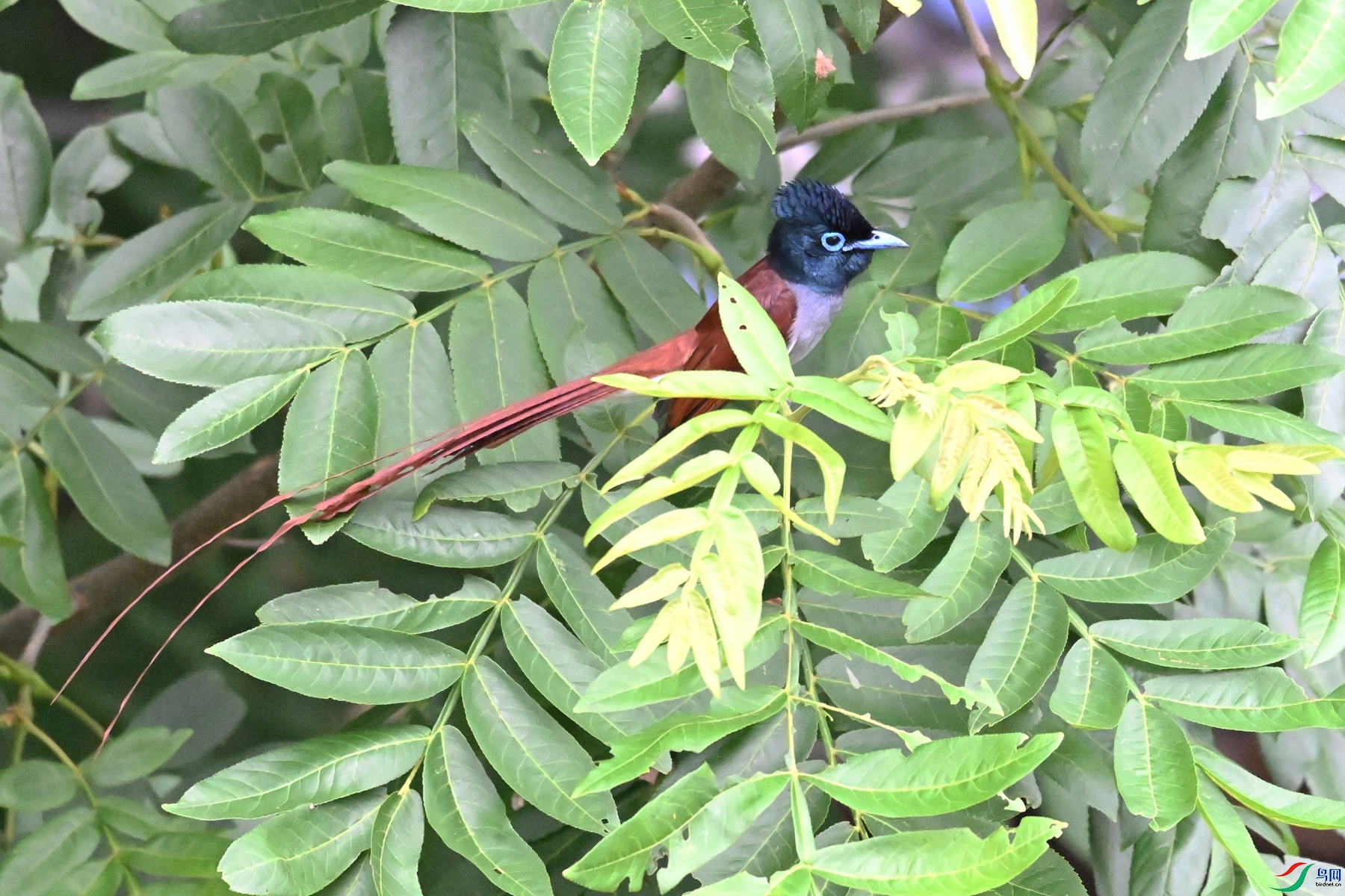 DSC_5967.JPG