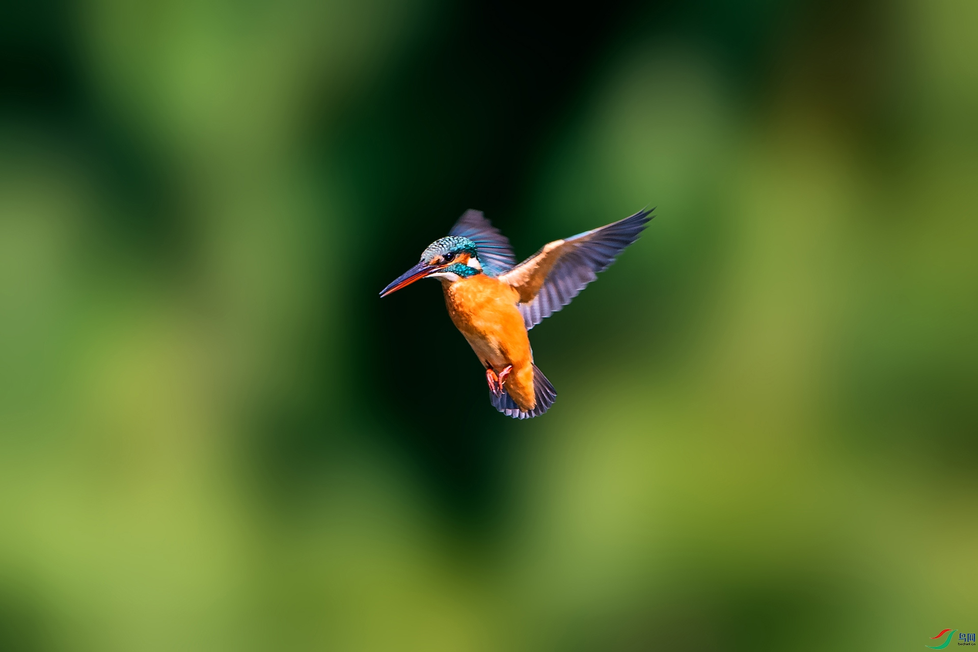 ��_AUU5958����ͣ(22.11.1)-1.jpg