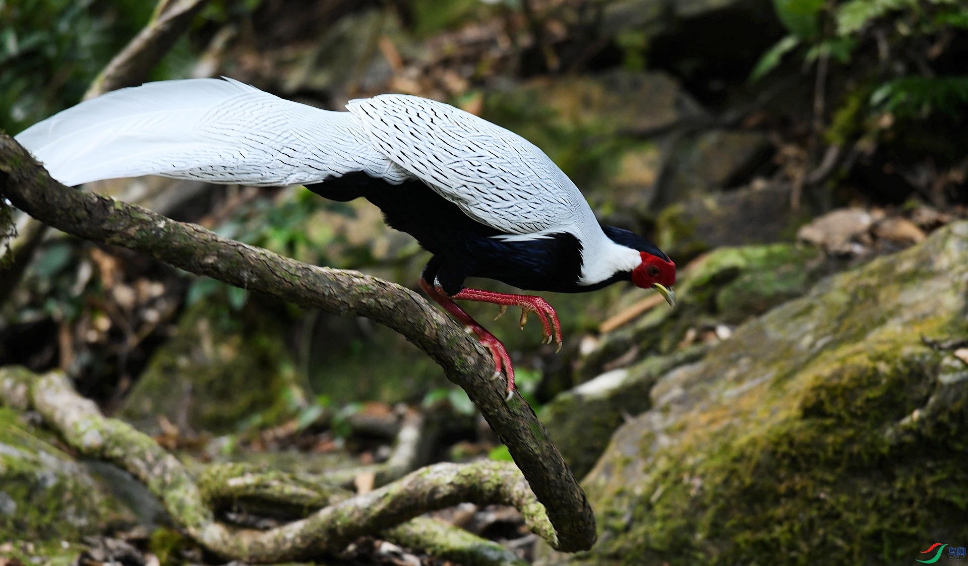 DSC_3516.jpg