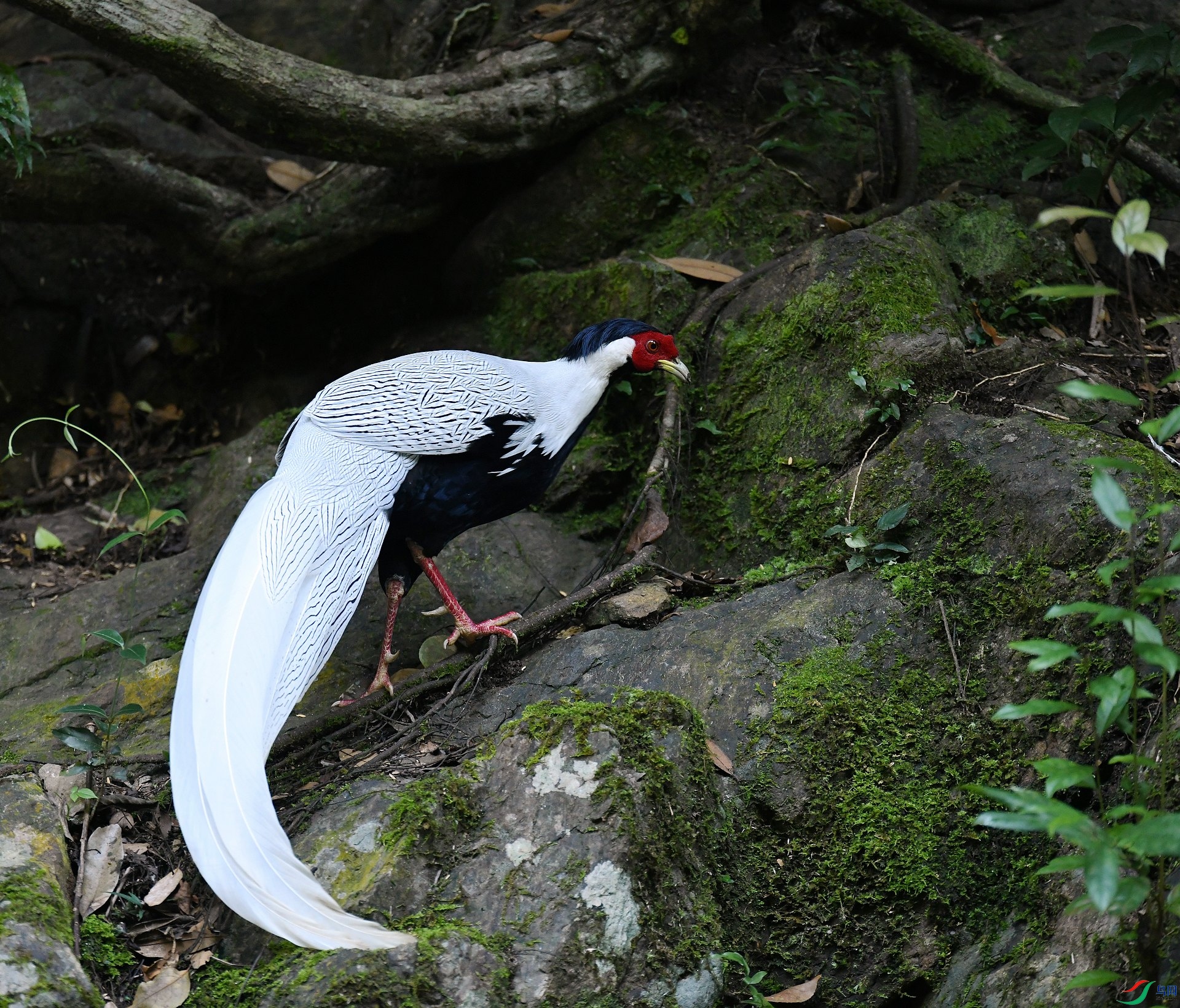 DSC_0232.jpg