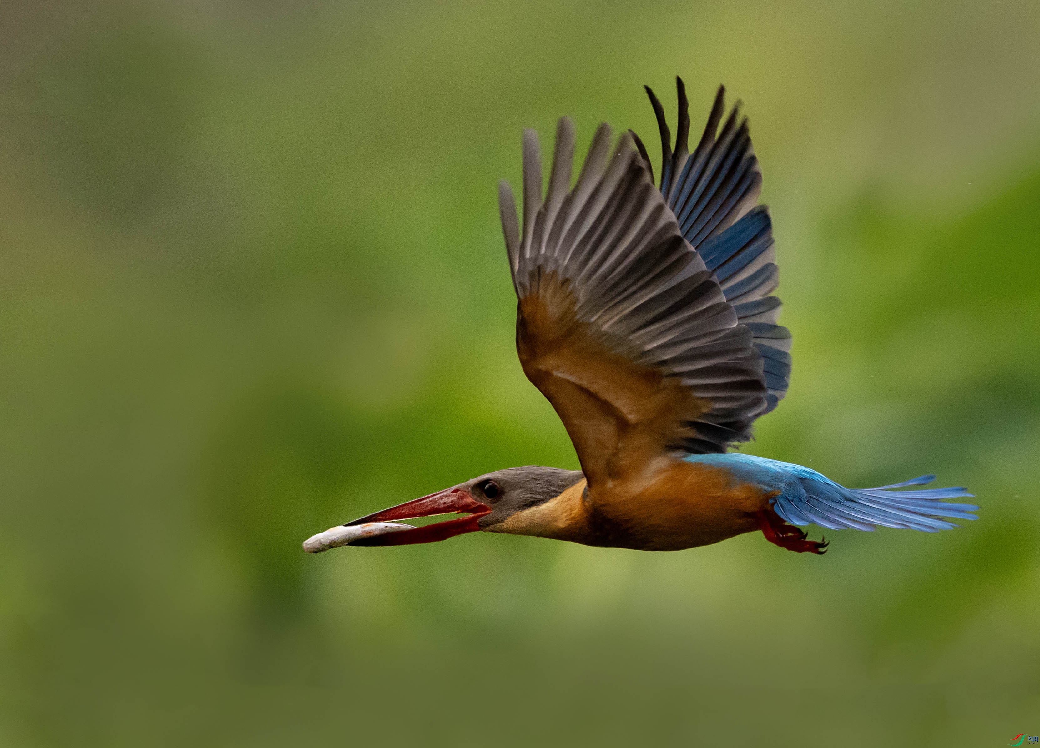 1-xt4L2A2826 ����-����.jpg