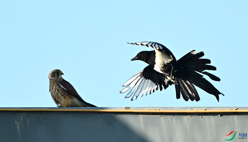 DSC_5877.JPG