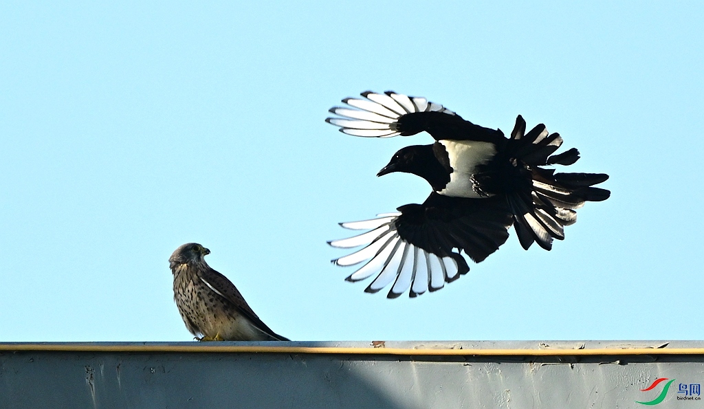 DSC_5880.JPG