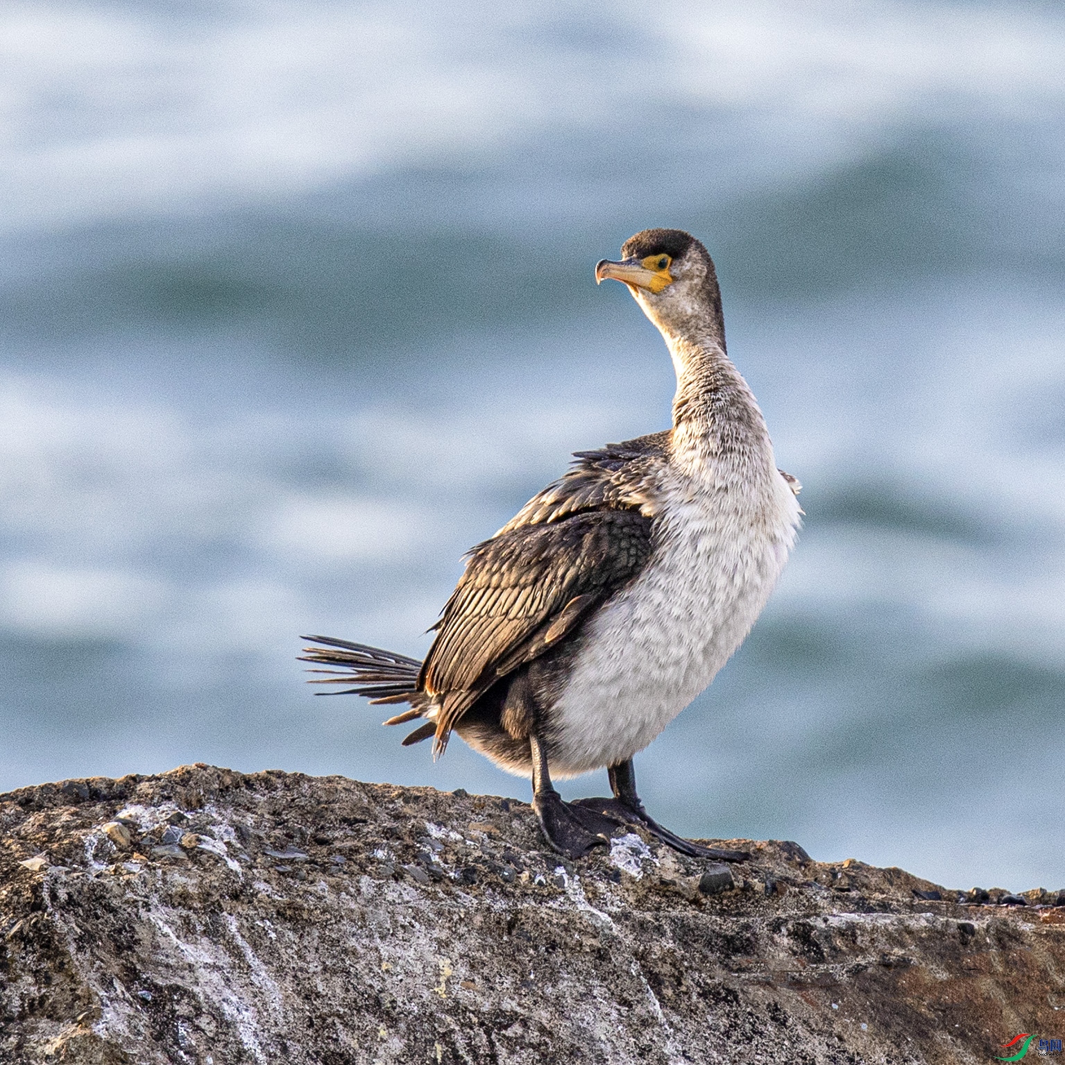 _90I8207 ���� 2.jpg