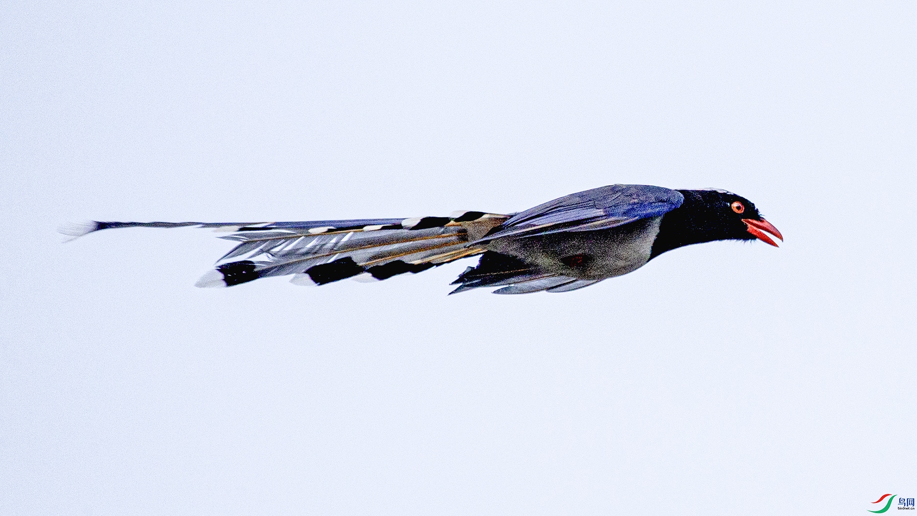 _MG_0339 ����.jpg