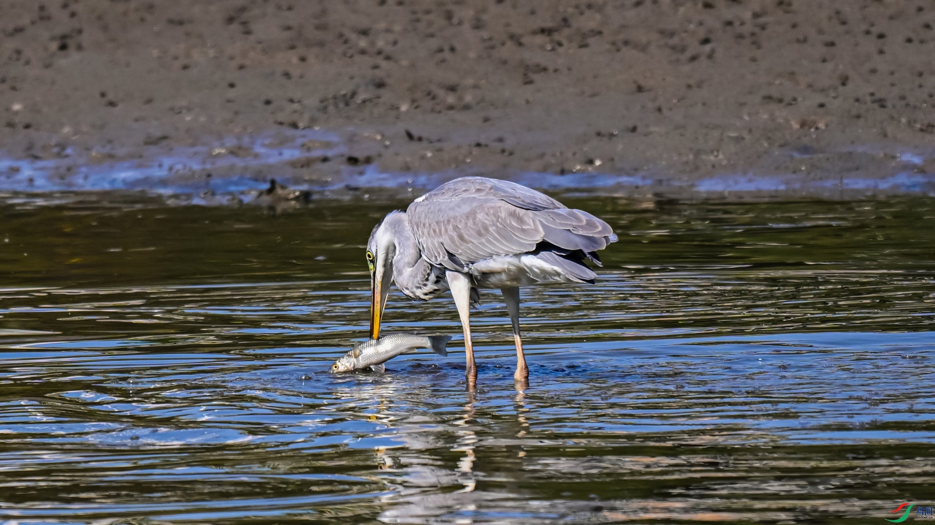 DSC_5823_��ͼ��.jpg