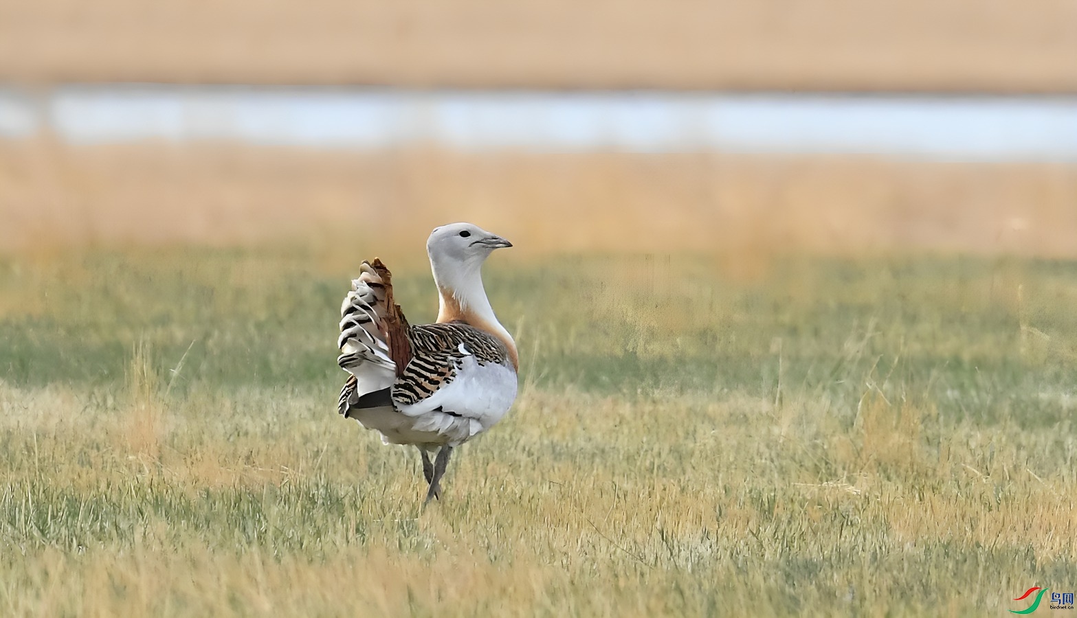 DSC_0145_����.jpg