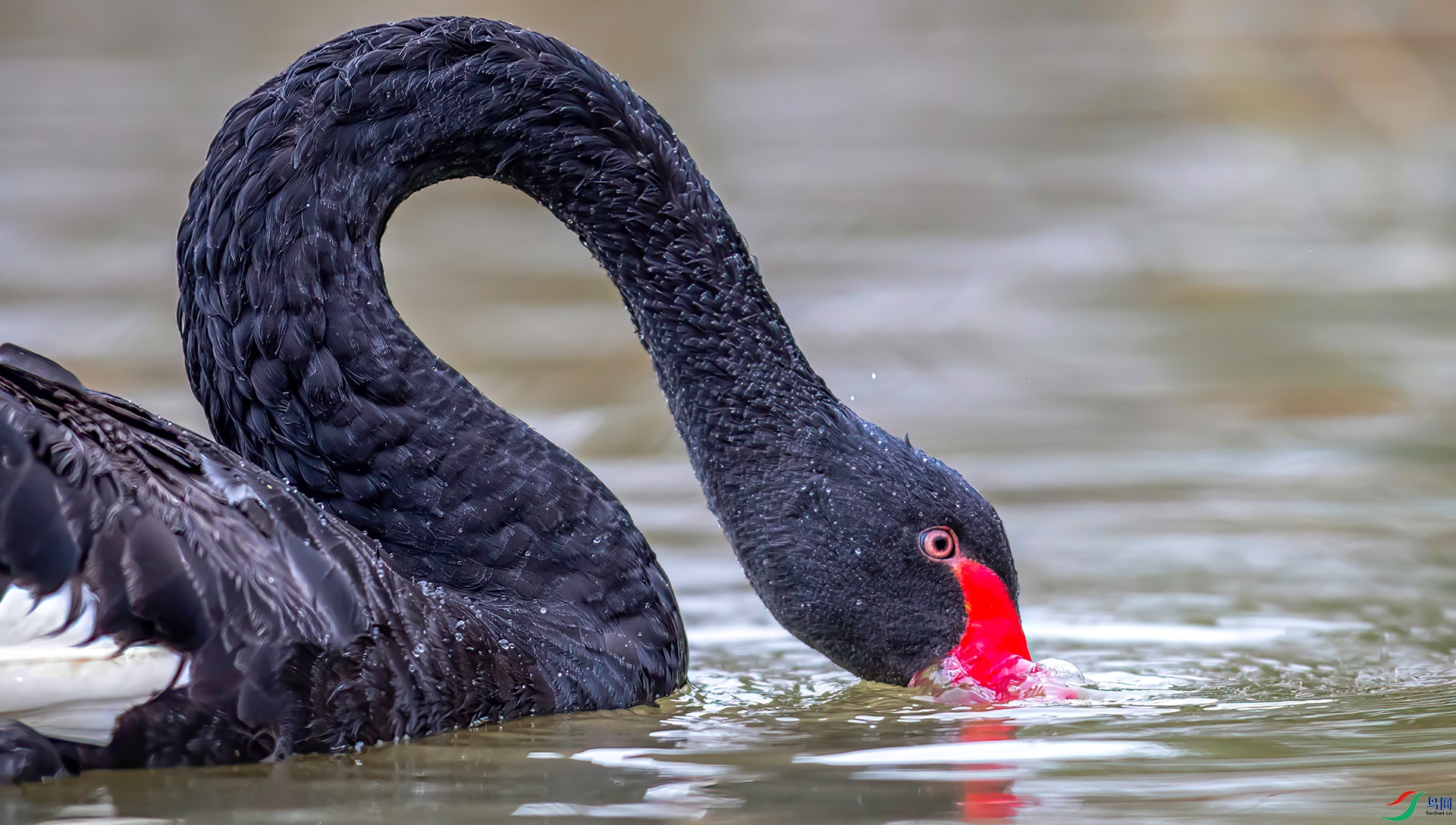 HD002133 ����-Sh----1 .jpg