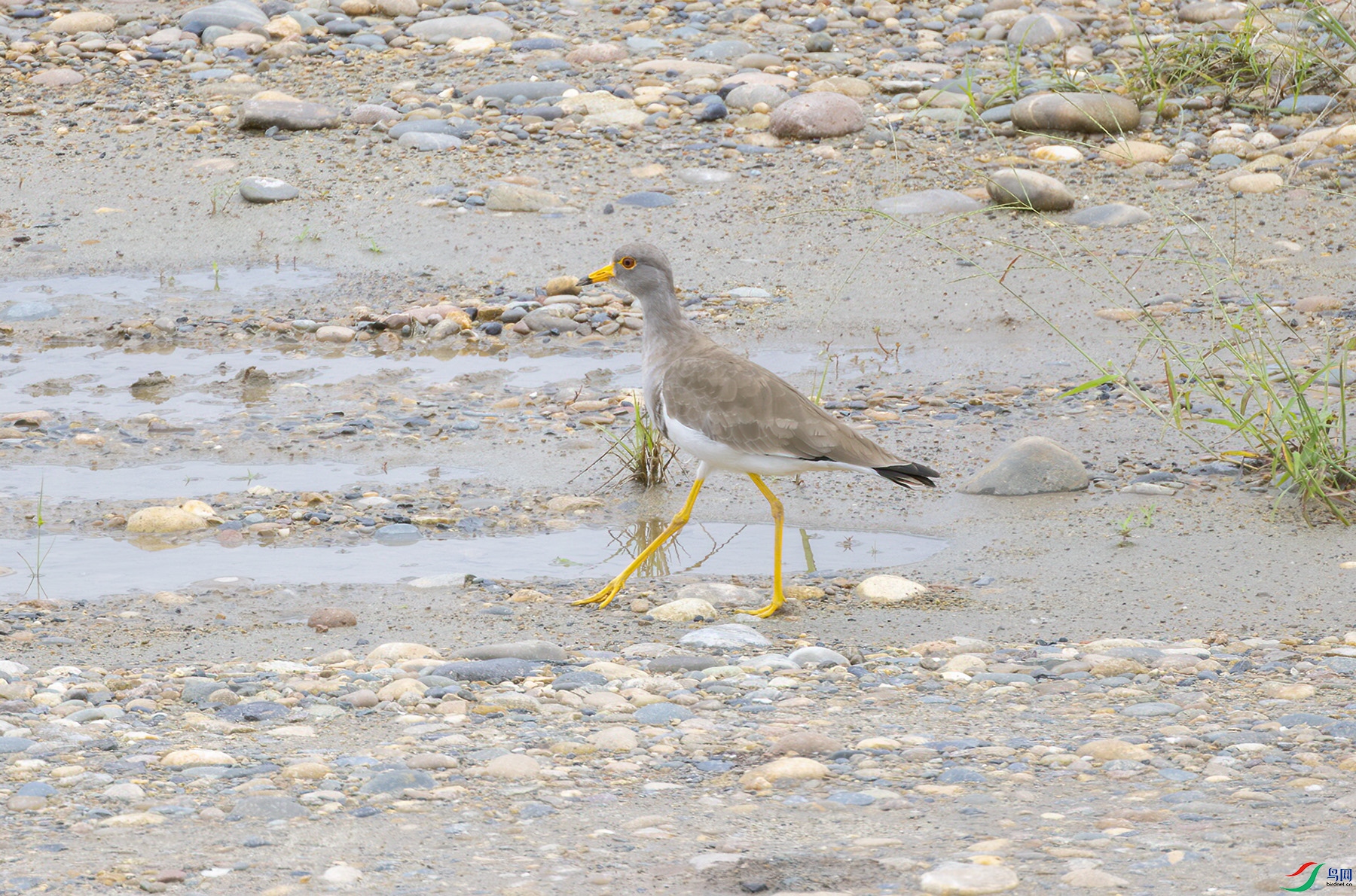 G47A7778-����ǿ-NR ����.jpg