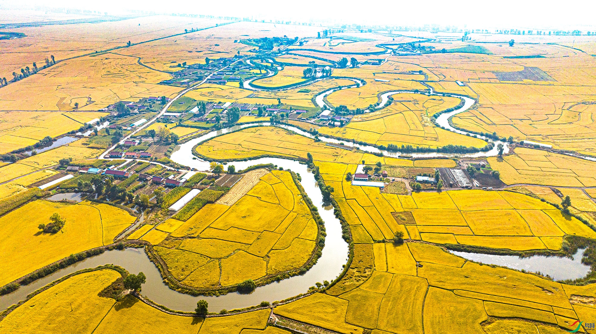 DJI_20250929110210_0063_D.jpg