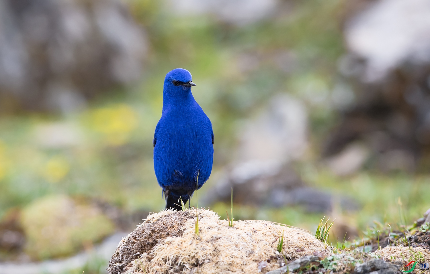 DSC_7903.jpg