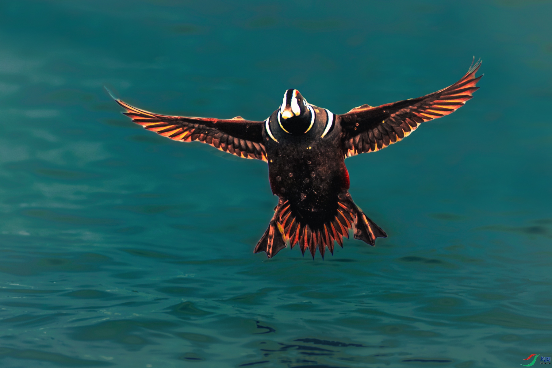 ��Ѽ----���֮��