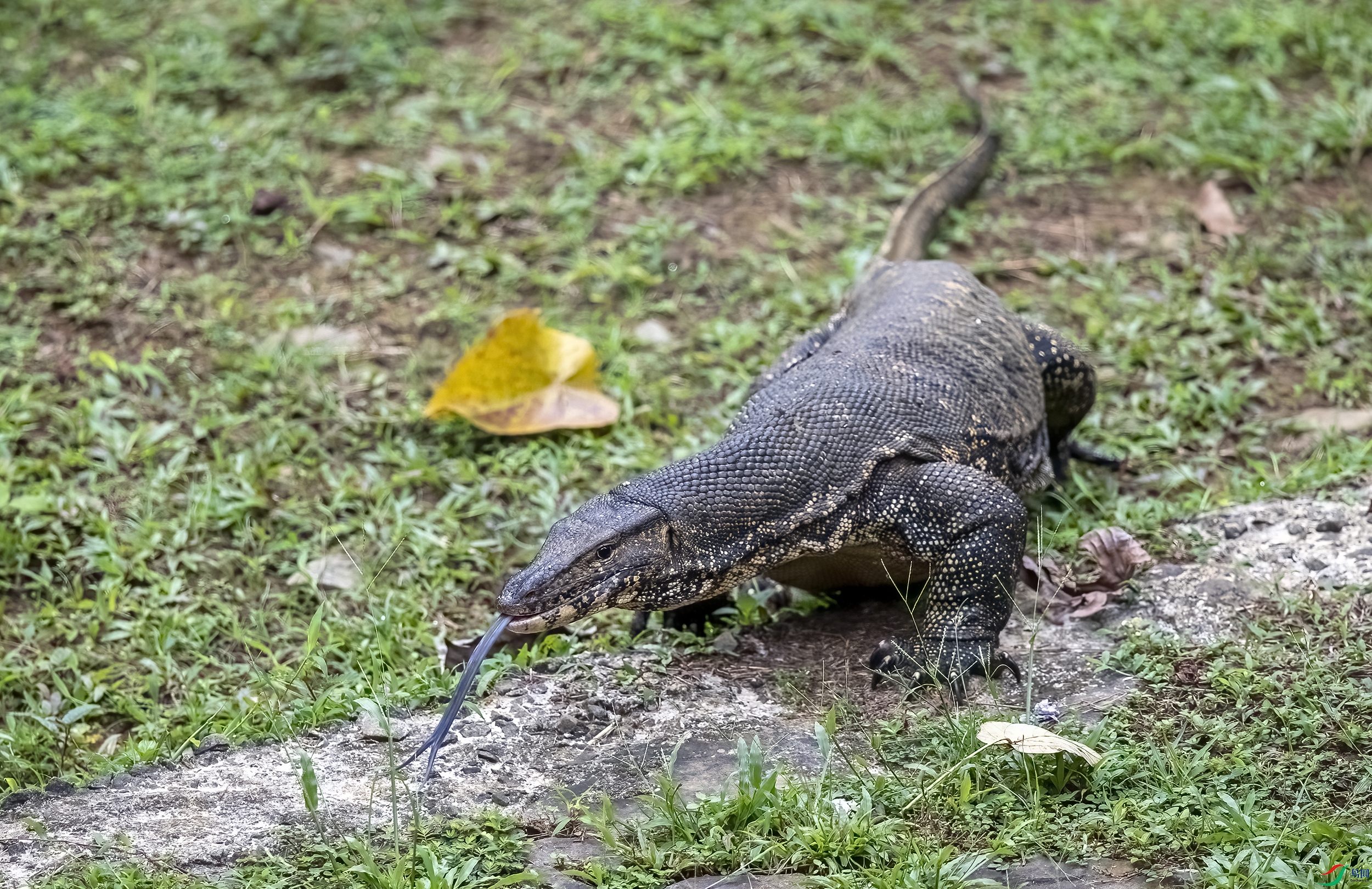 AC3I8842 ����.jpg