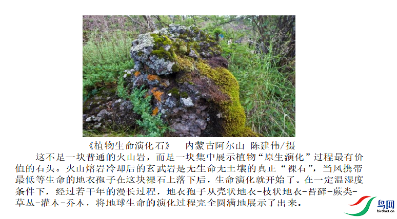 1c7ce91fe20bc0dfce1c45ba510f406e.png
