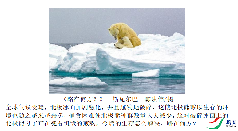 7d4a577d20761a59fc9c180b4a13a56b.png