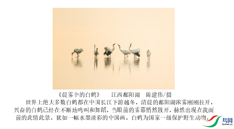 9af244ec3179fa8a4254e4bc56ace9f2.png
