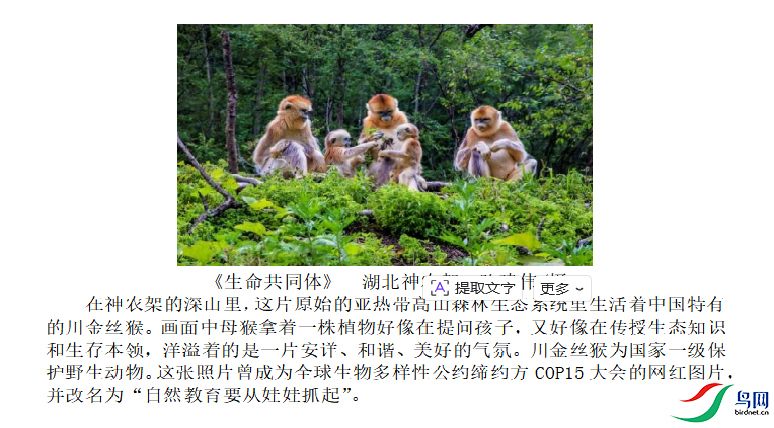 55a6a01761eed5129ae2c52b85987306.png
