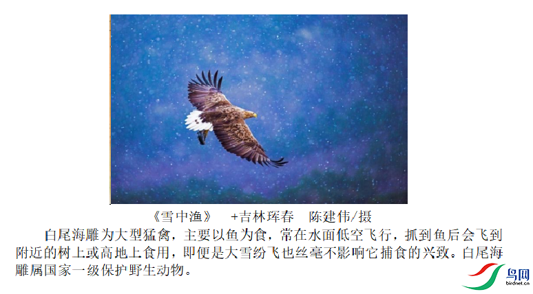 b45639d9194c4f90dcbd0488a9be6de2.png