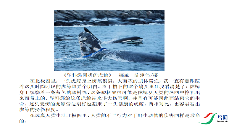c798aeabfb92a052ad9a63bdcb92cf1d.png