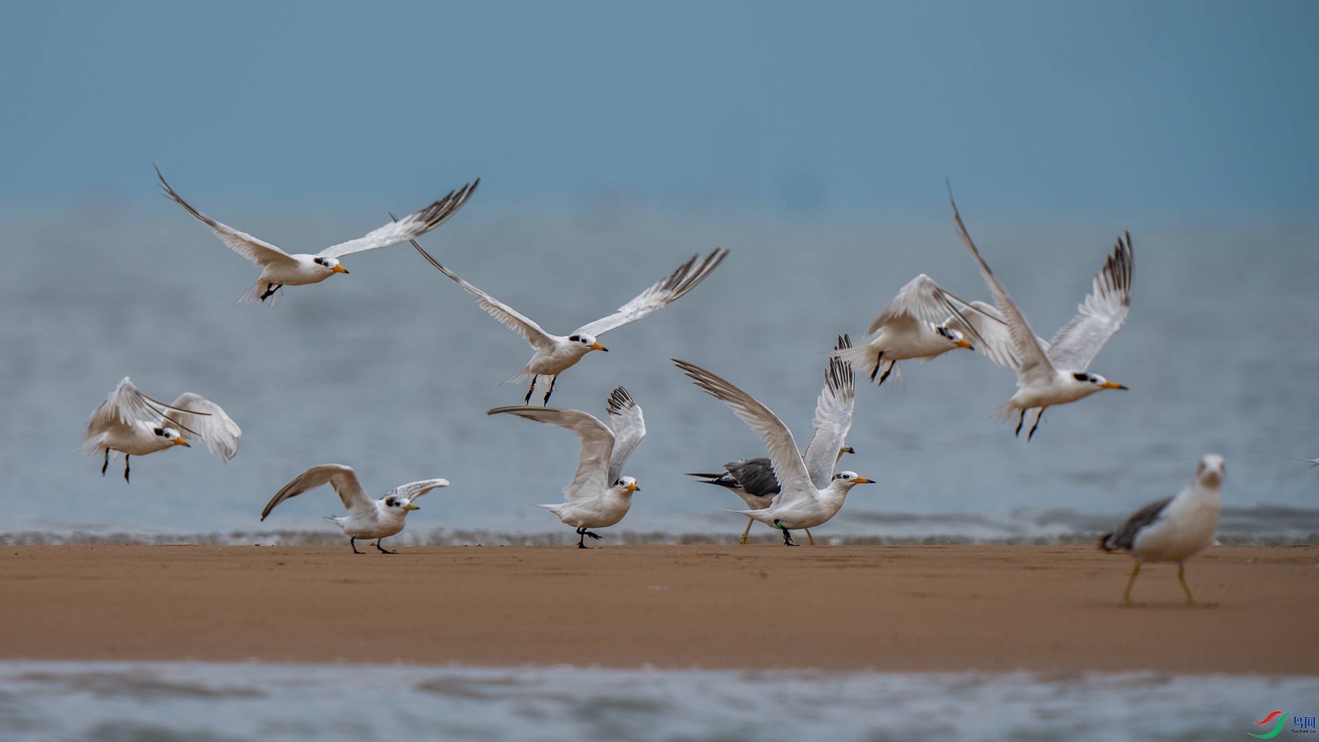 DSC00220 С����.jpg