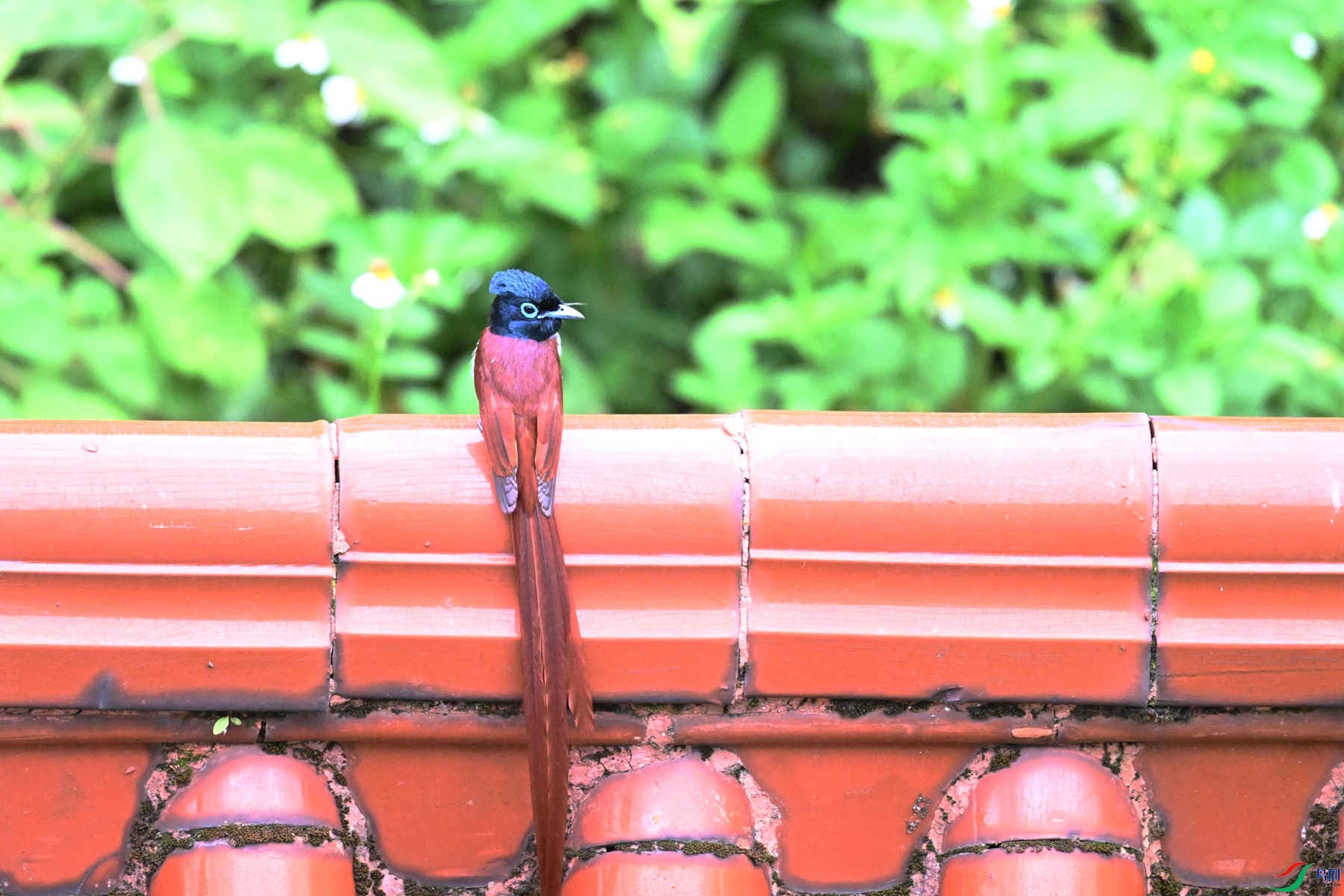 DSC_6024.JPG