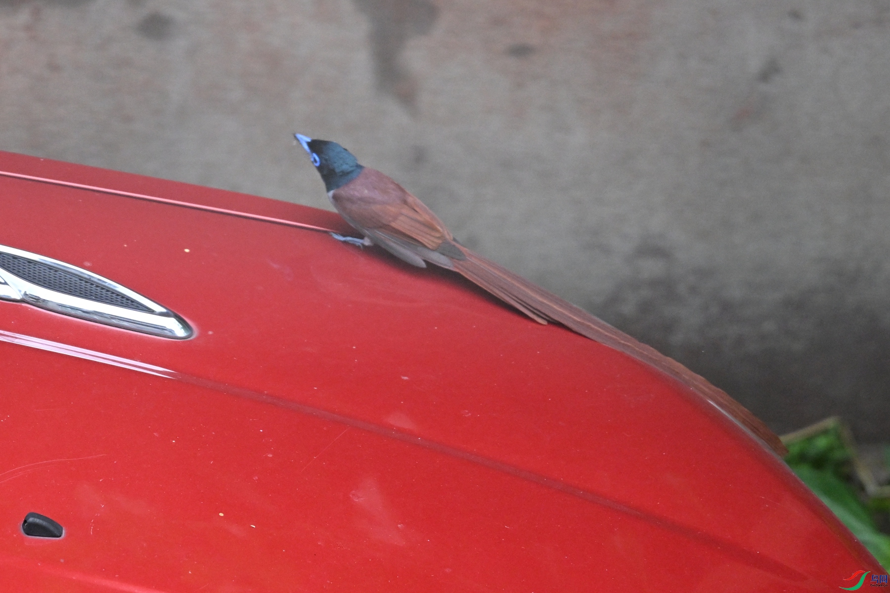 DSC_6020.JPG
