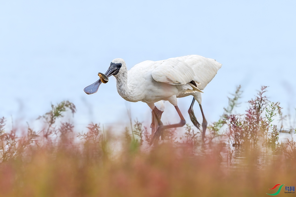 lndlzhR5250823    (5854).jpg