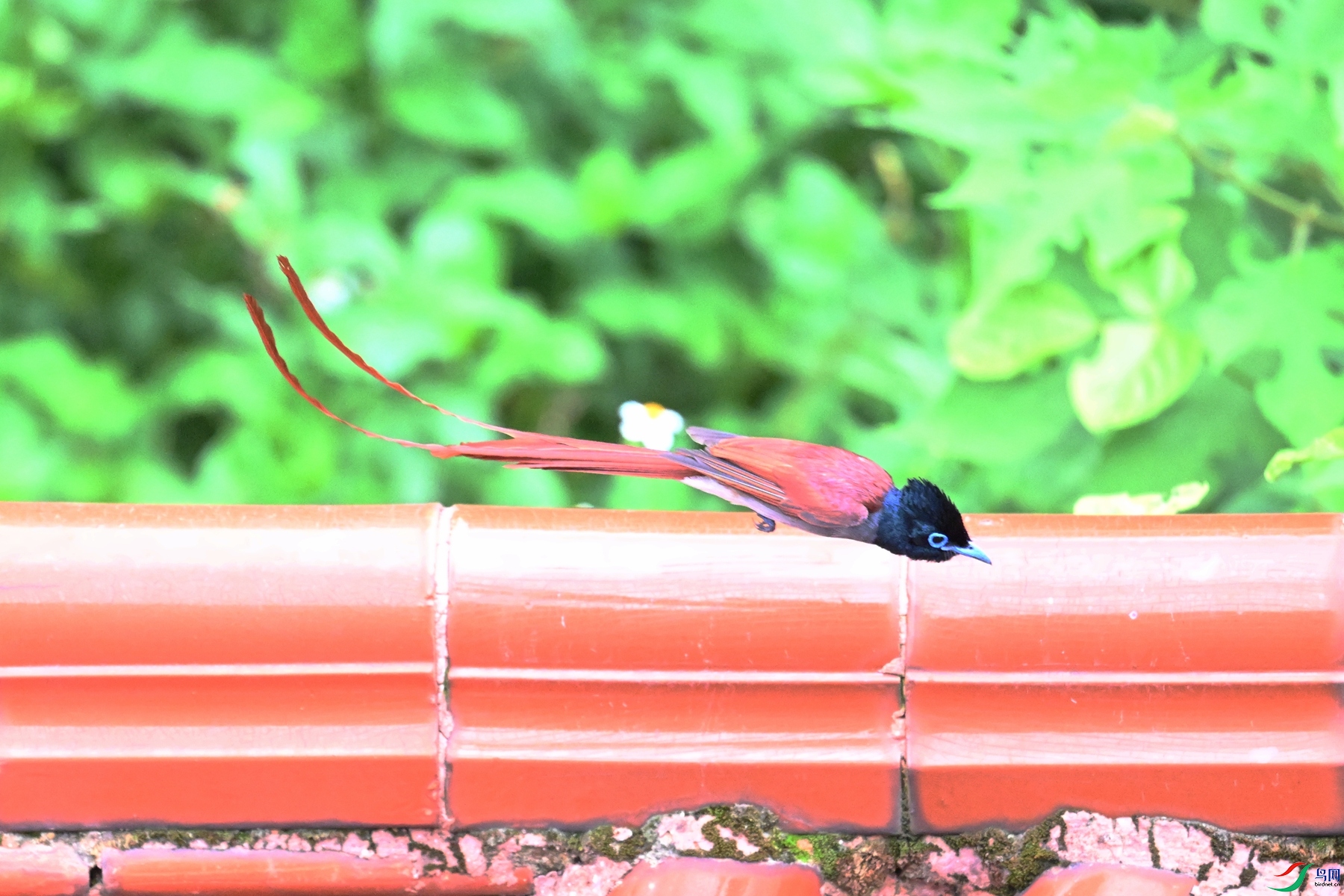DSC_6015.JPG