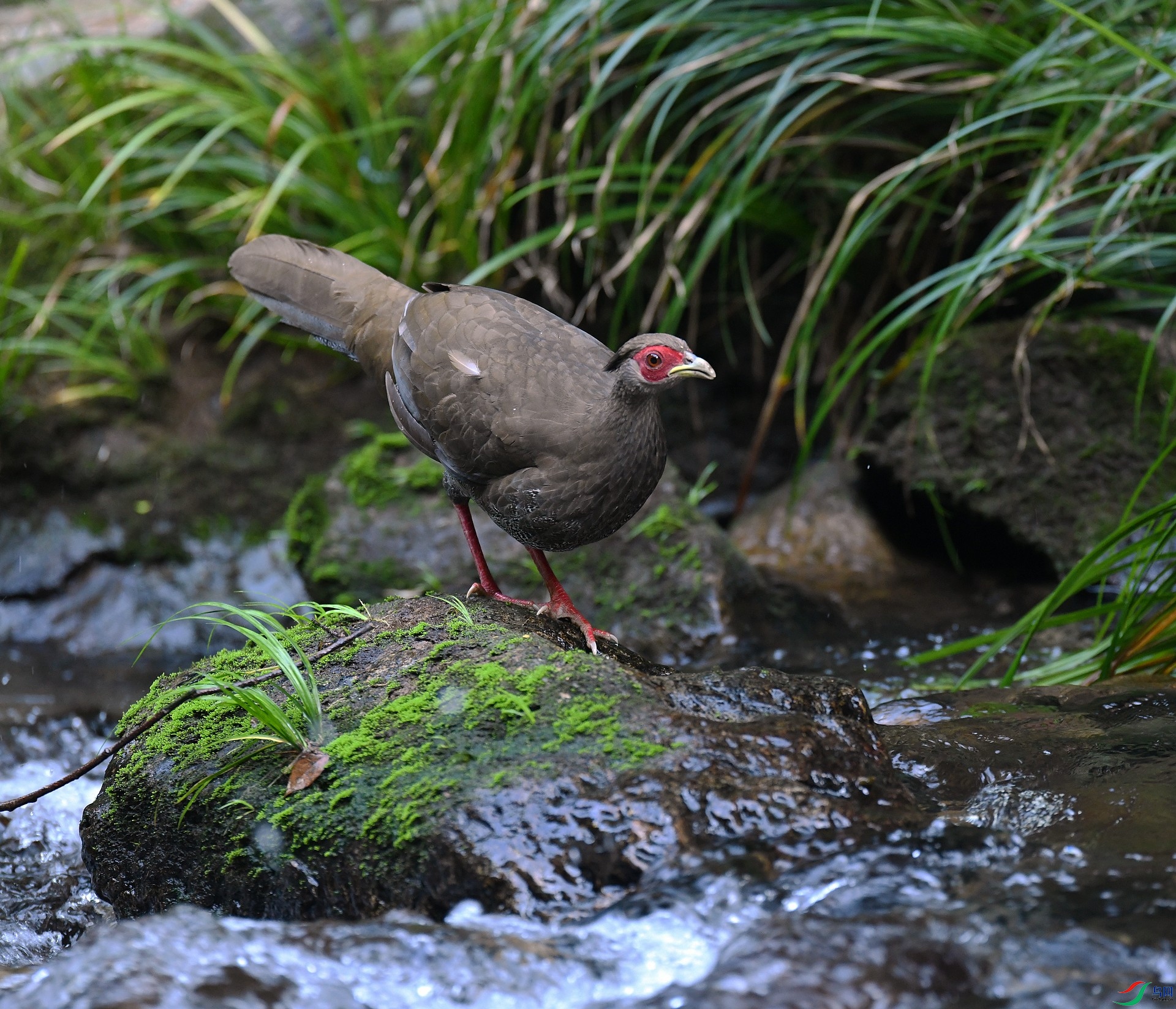 DSC_0136.jpg