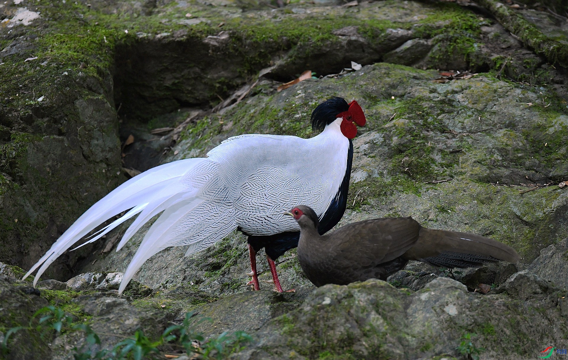DSC_0121.jpg