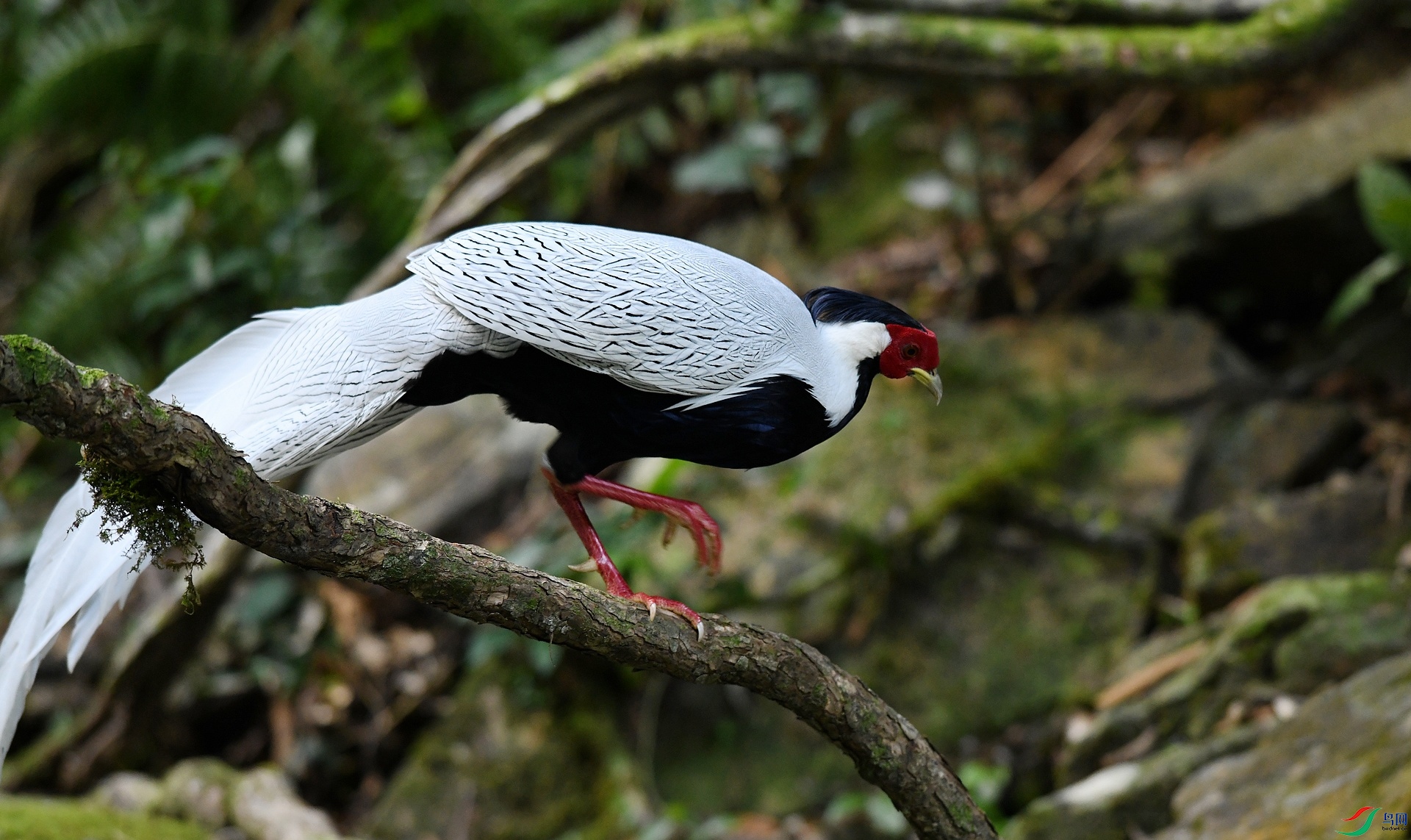 DSC_3512.jpg