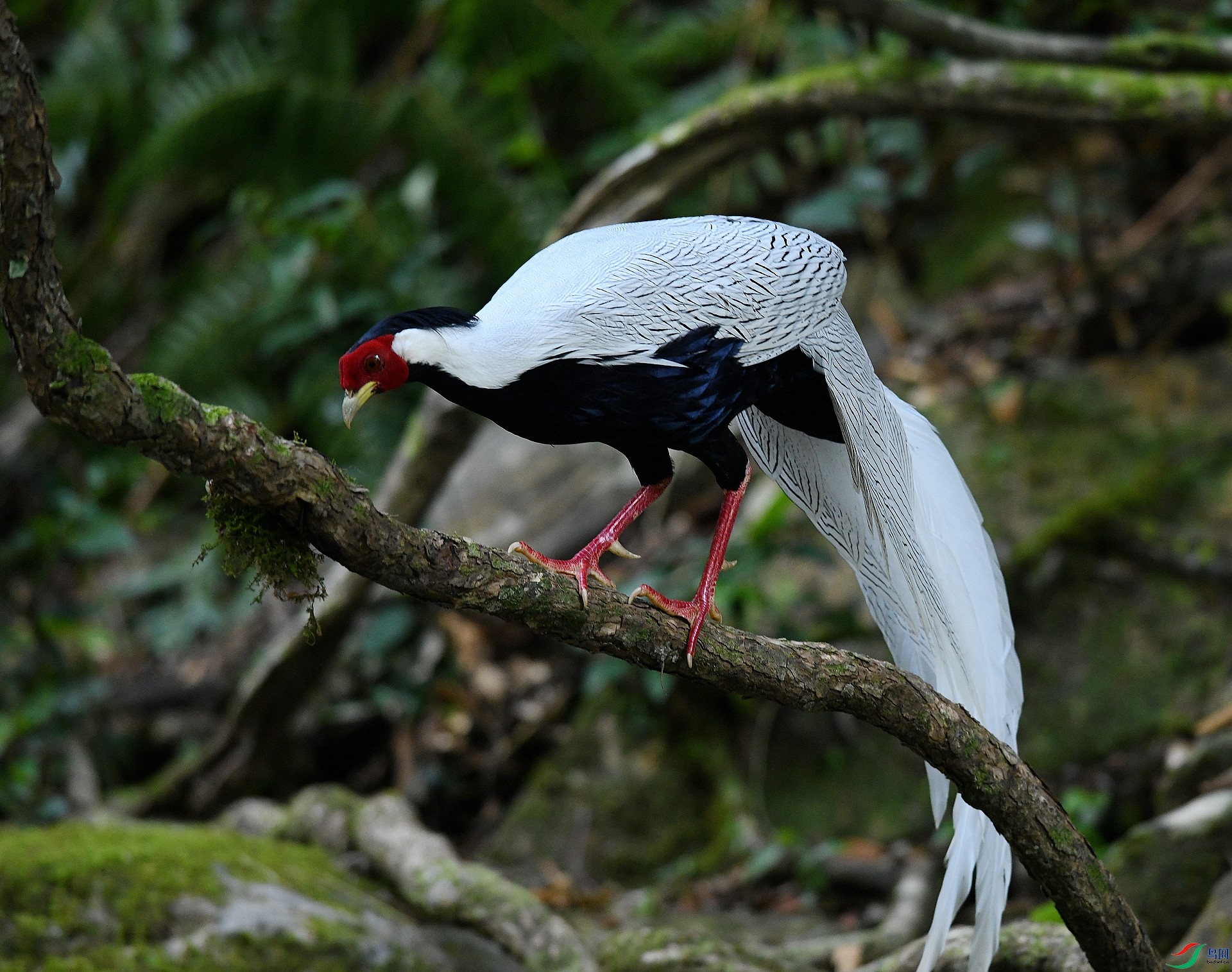 DSC_3429.jpg