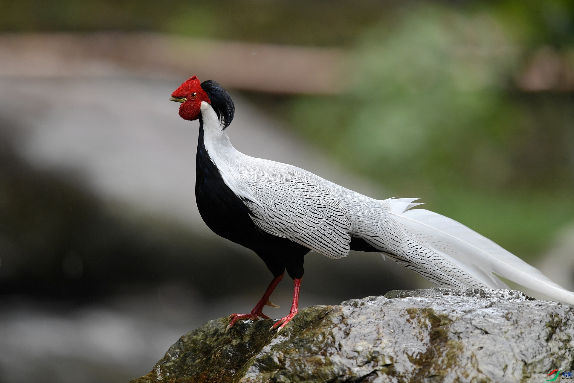 DSC_7604.jpg