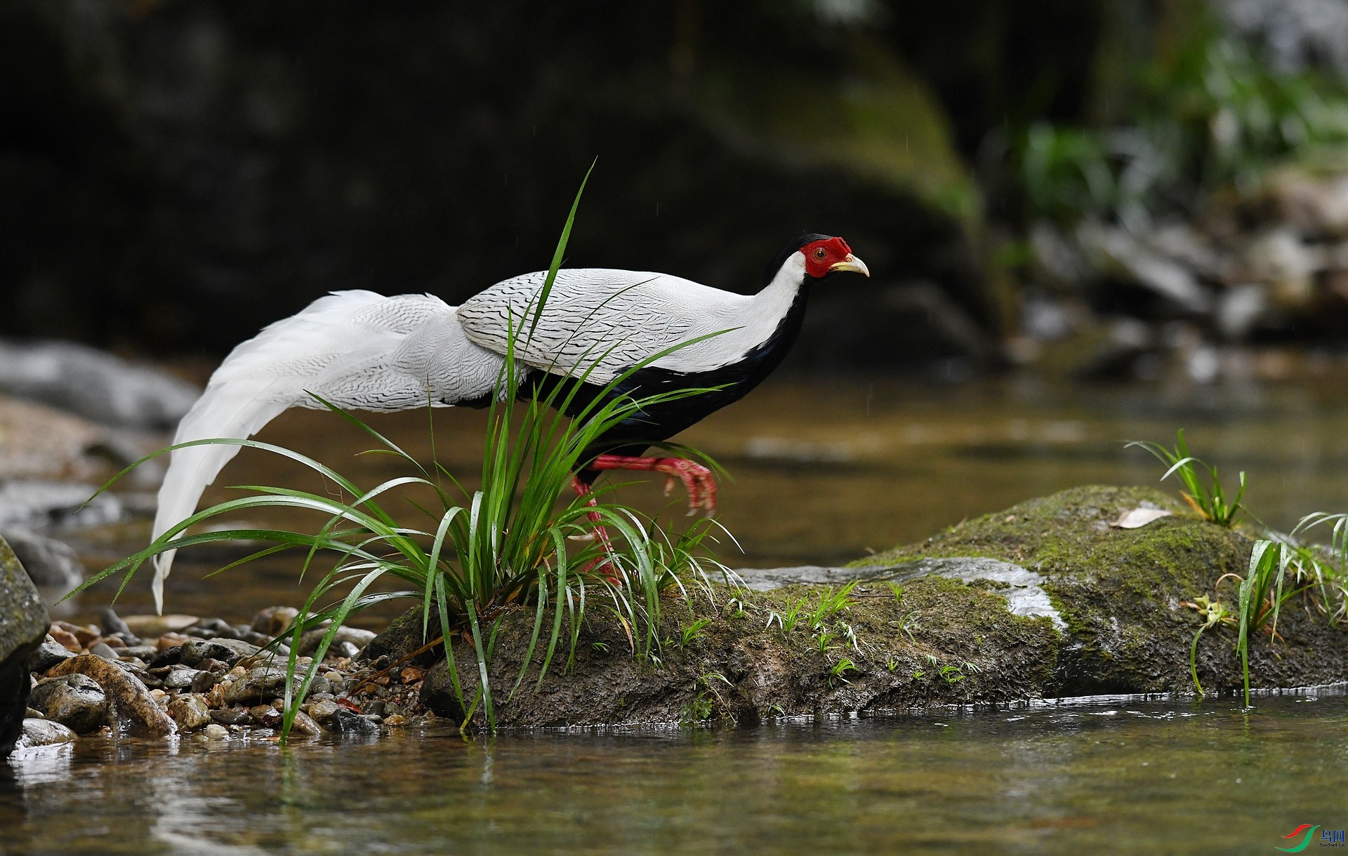 DSC_7026.jpg