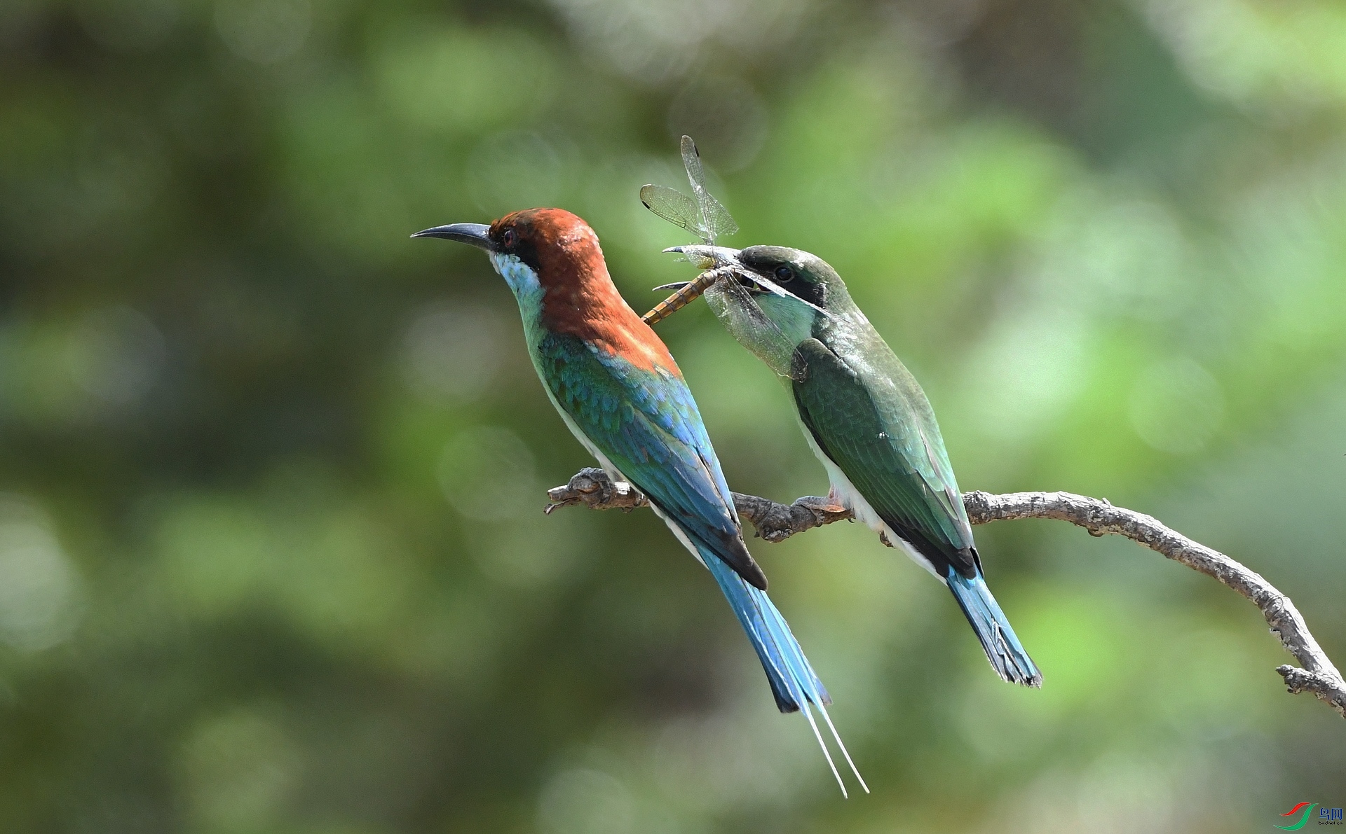 DSC_8802.jpg