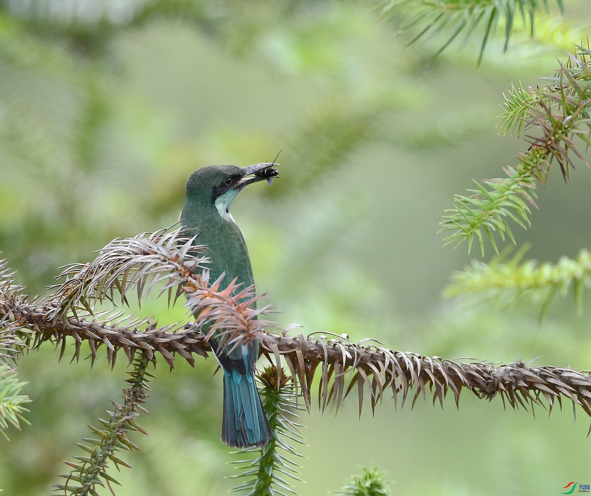 DSC_8897.jpg