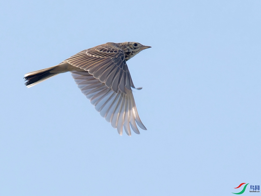 P9294624_DxO-1.jpg