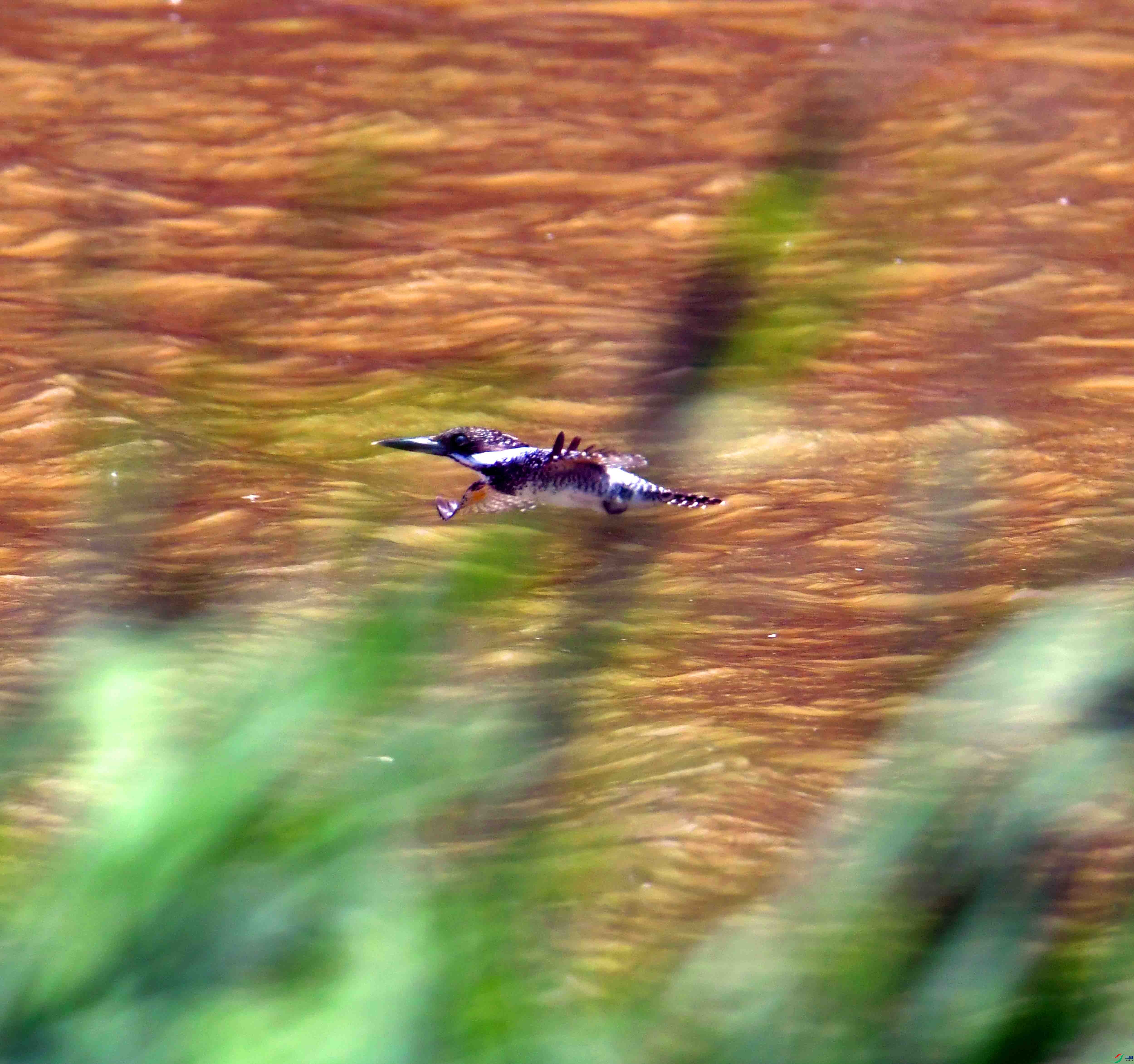 DSC_0895.JPG