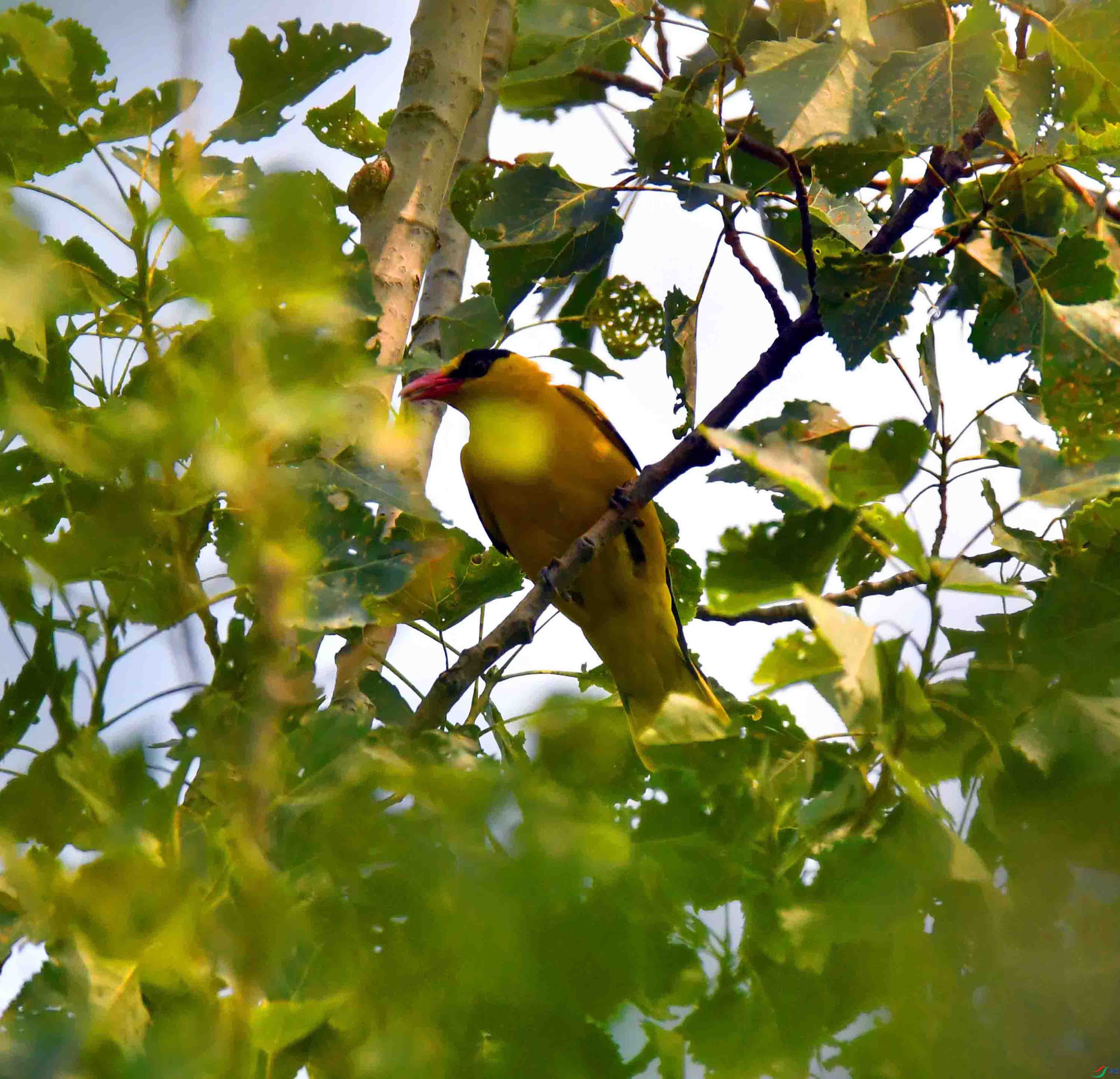 DSC_7490.JPG
