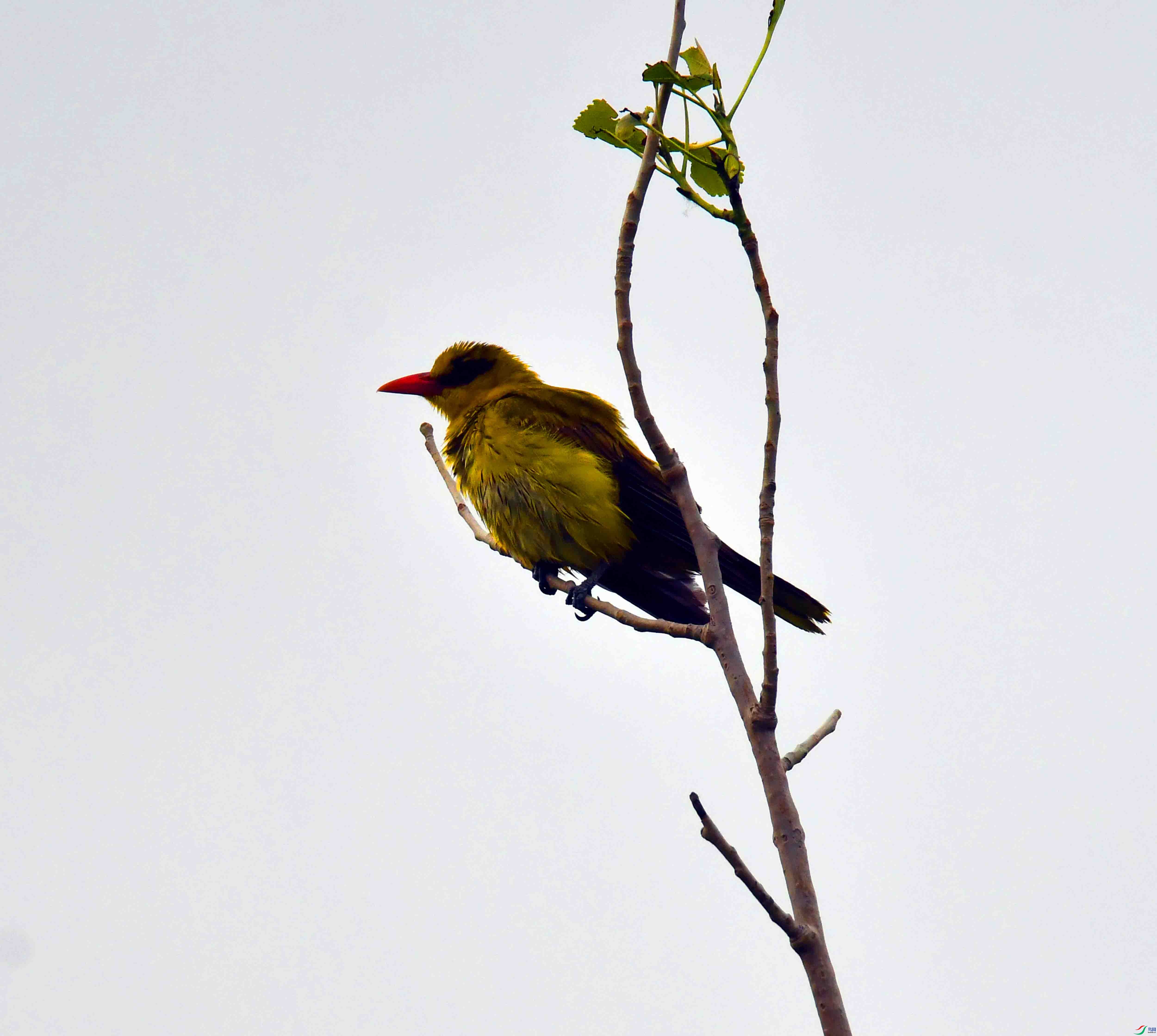 DSC_7886.JPG