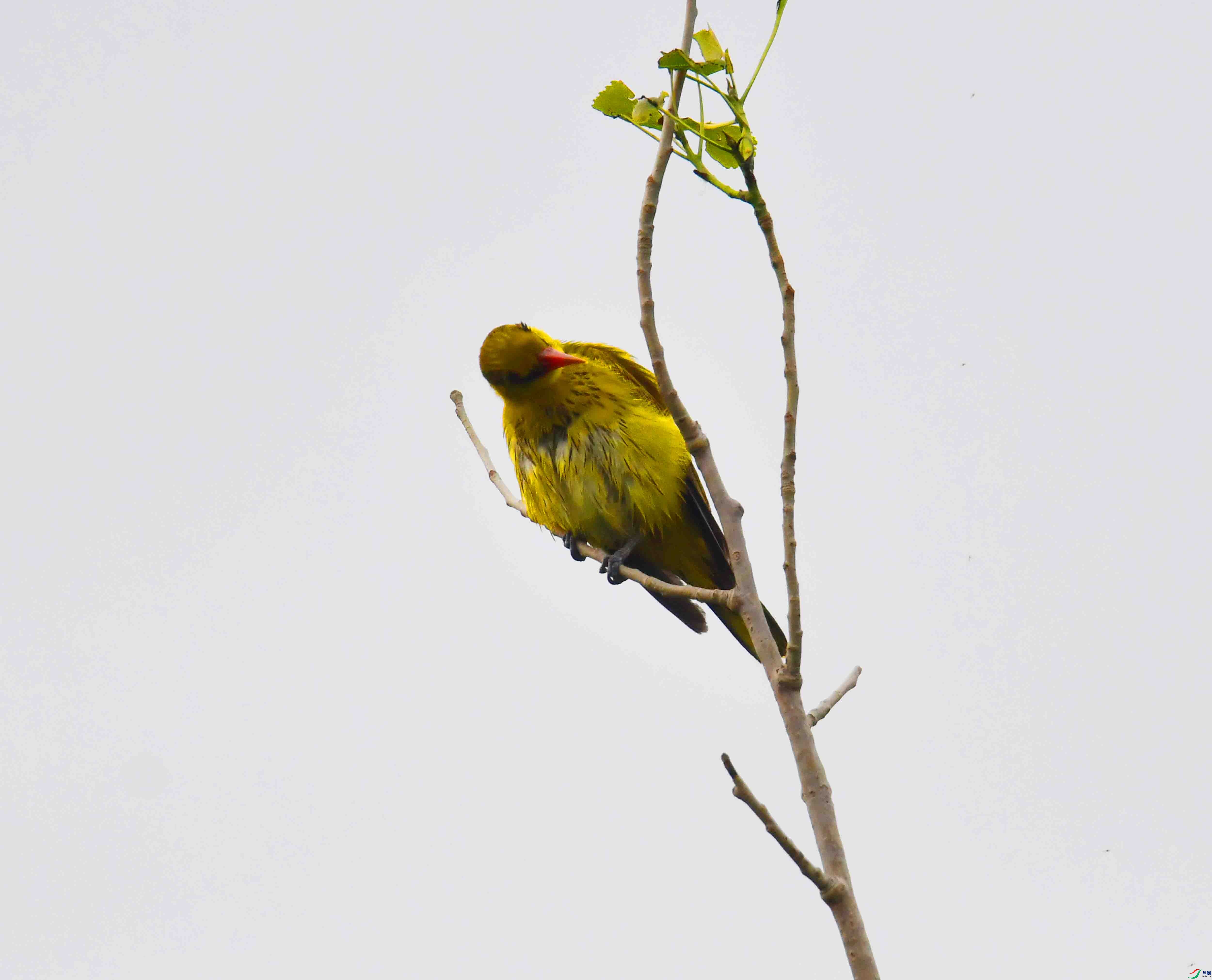 DSC_7963.JPG