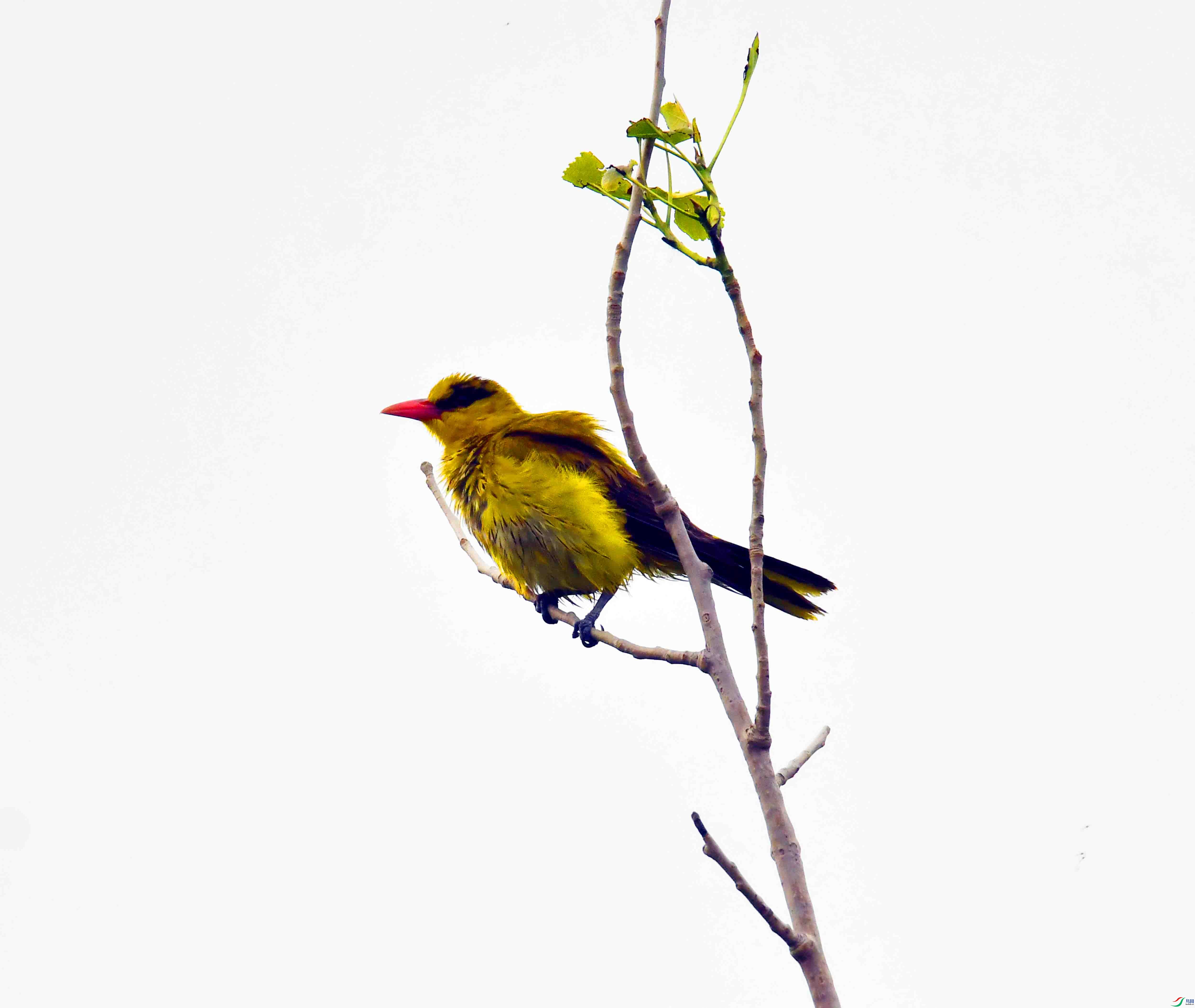 DSC_7967.JPG