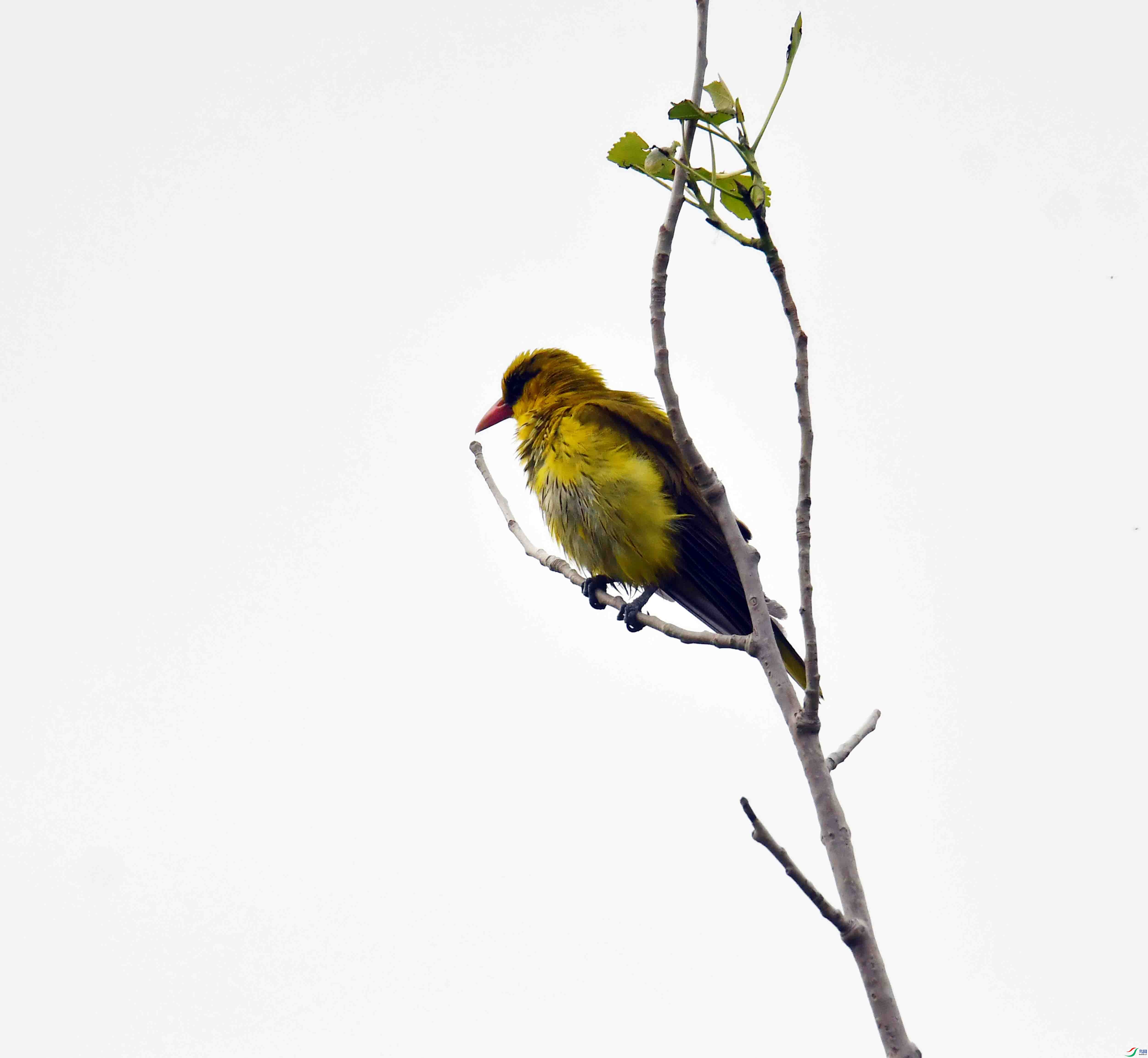 DSC_8004.JPG