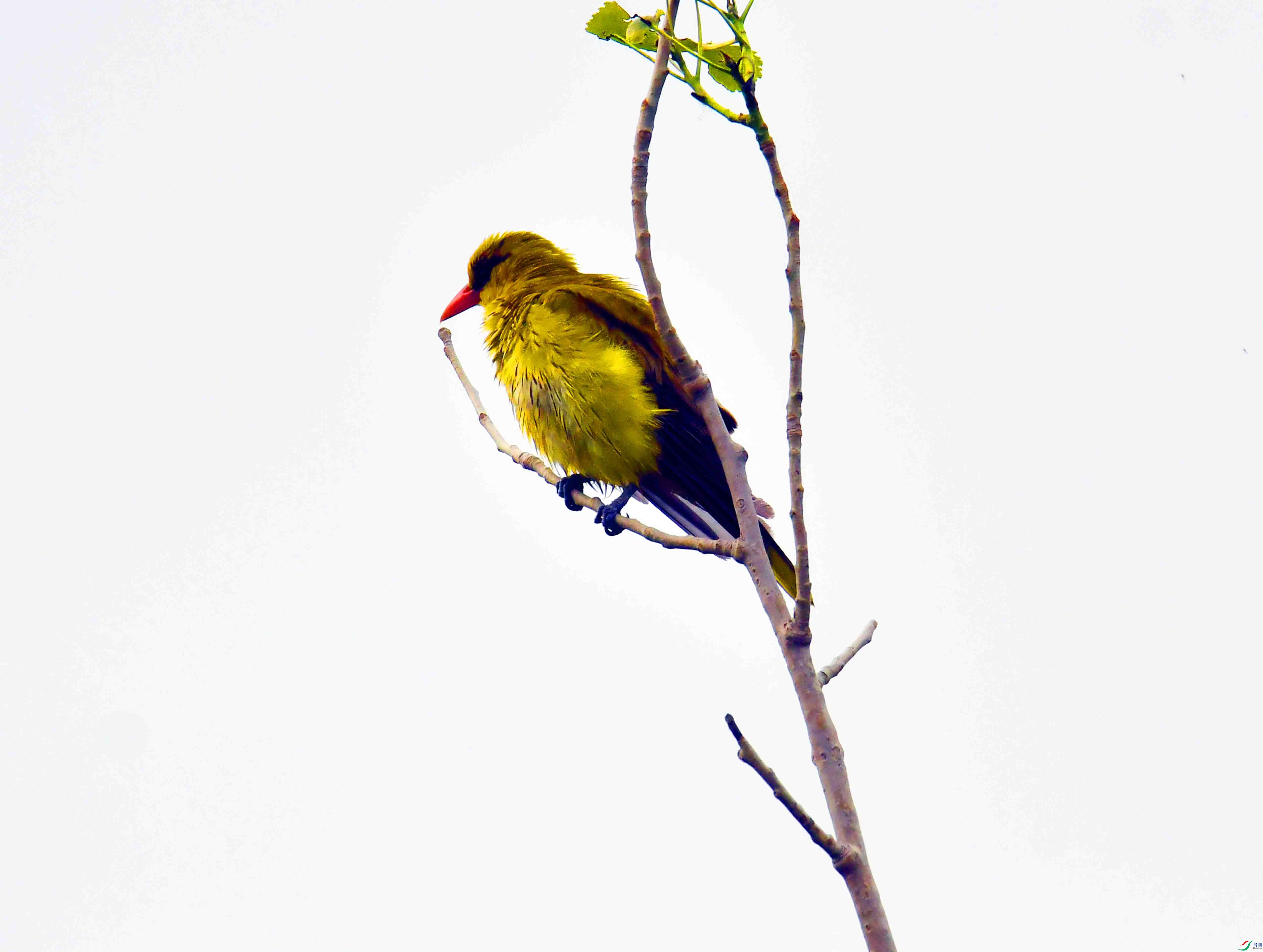 DSC_8002.JPG