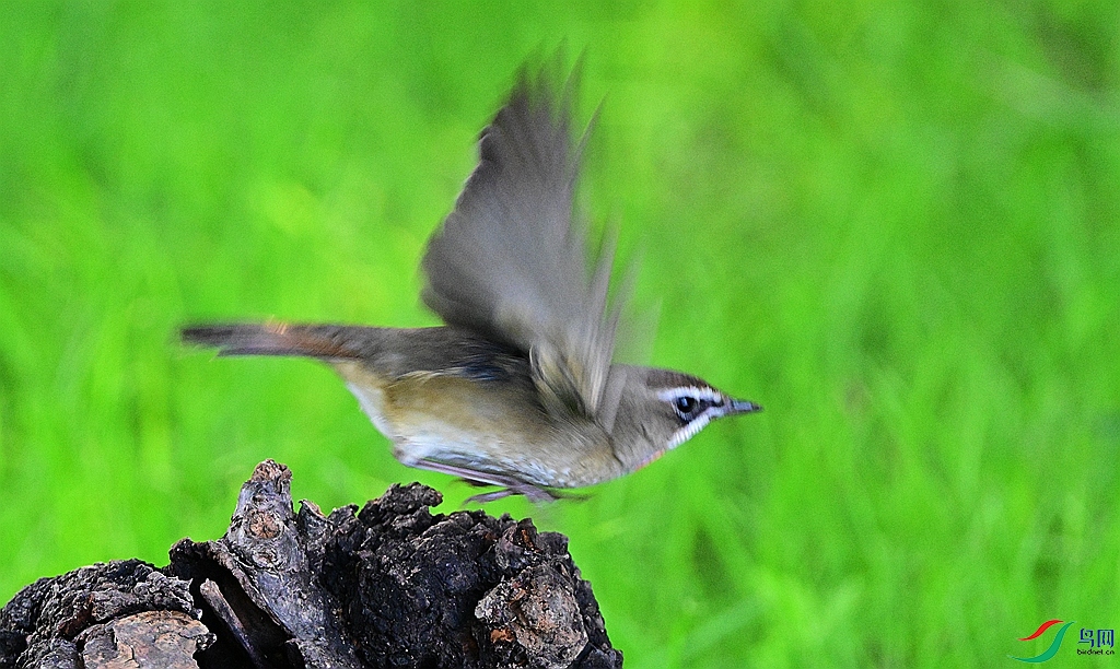 DSC_0014.JPG