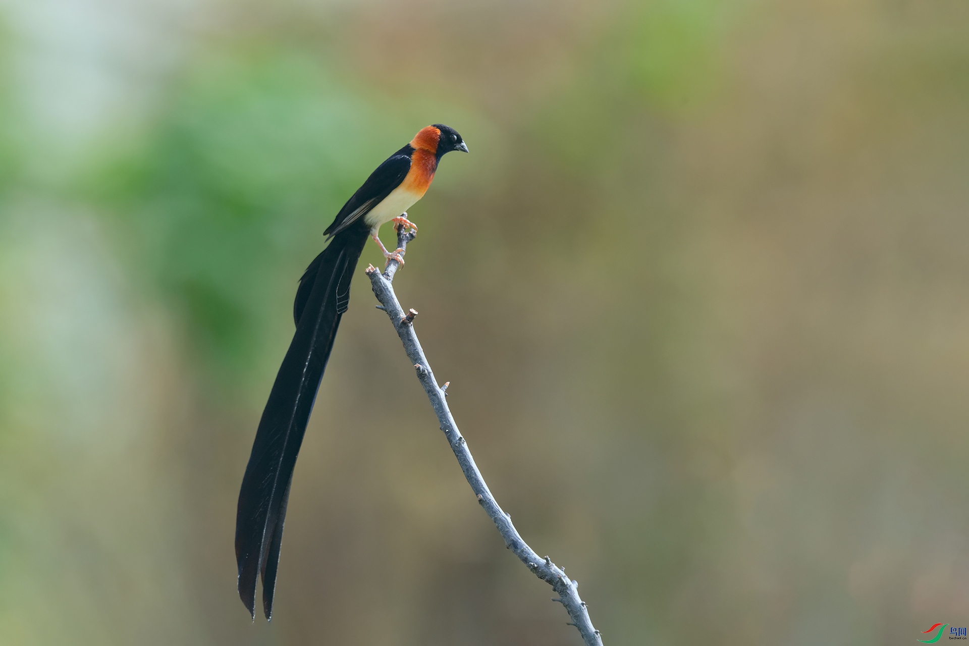 DSC_6542_DxOa.jpg