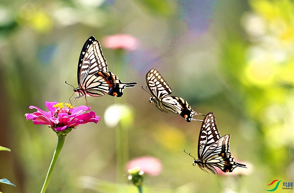 IMG_4658 (2)_����_����.jpg