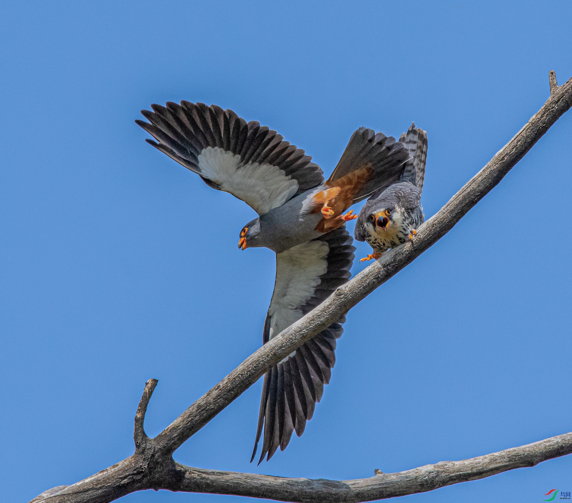DSC_7675_��ͼ�� ���� 2.jpg
