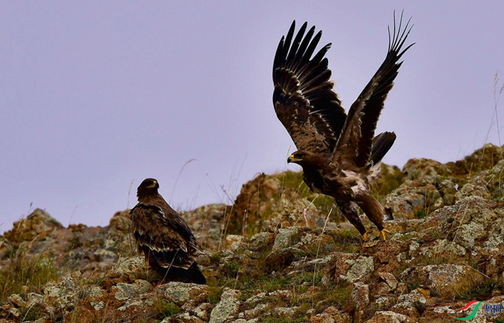 ����һ����