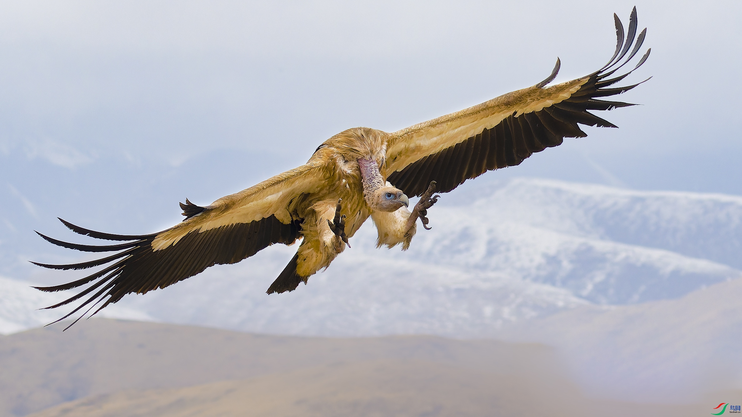 DSC_8658_DxO.jpg